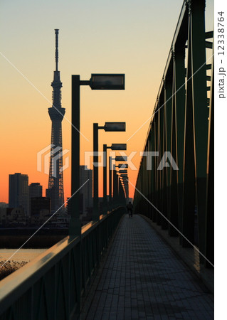 夕暮れの荒川と東京スカイツリー 夕暮れの荒川と東京スカイツリー 12338764