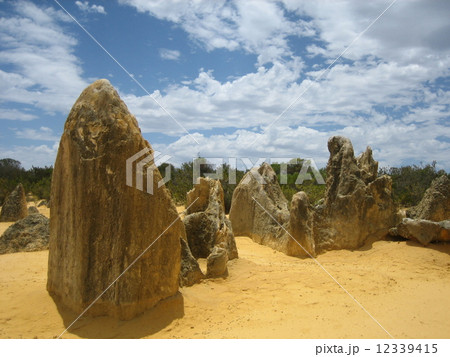 オーストラリア　ピナクルズ 12339415