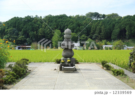 奈良　蘇我入鹿首塚 12339569