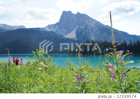 トレッキング 12339574