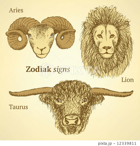 Sketch zodiac signs 12339811