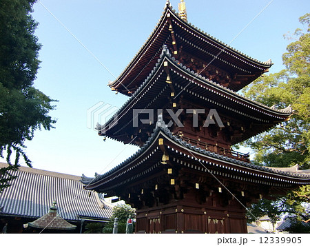 三重塔 三重塔 12339905