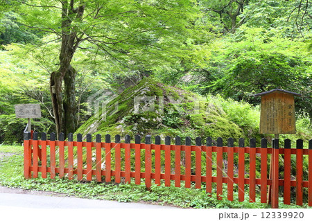 京都　貴船　蛍岩 12339920