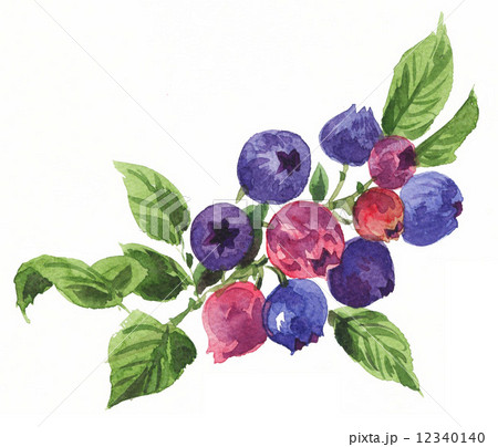 blueberry14109pix1 12340140