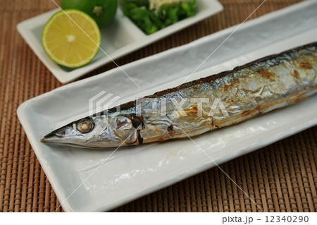 秋刀魚 秋刀魚 12340290