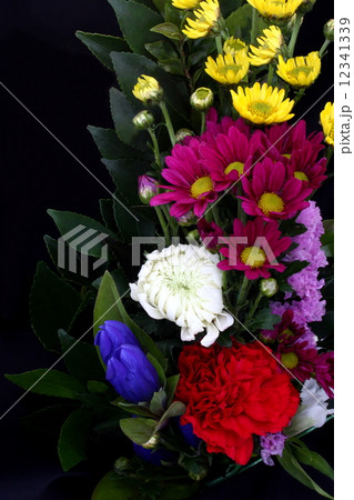 供花　弔花　黒背景 12341339