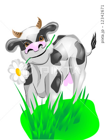 cow on a green lawn 12342671