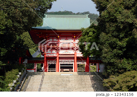 滋賀県　近江神宮　楼門 12343156