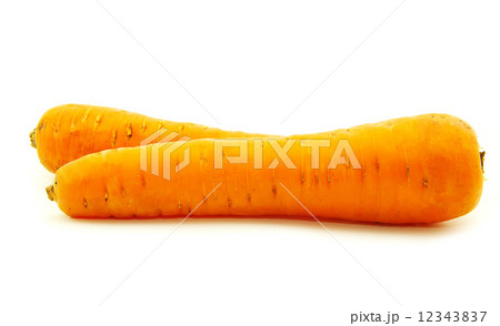 carrot 12343837