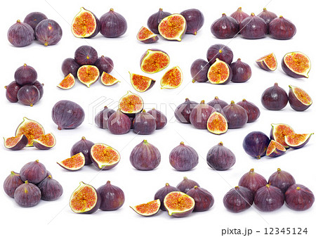 figs figs 12345124