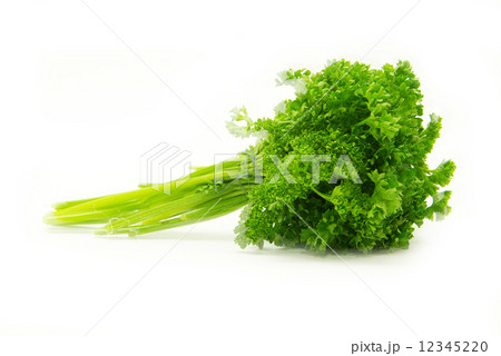 parsley 12345220