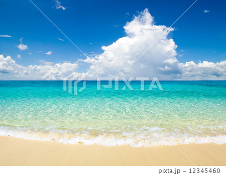 sea sea 12345460