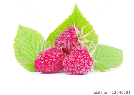 raspberry raspberry 12346281
