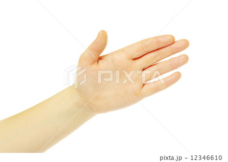 hand hand 12346610
