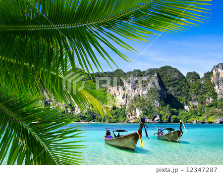 Tropical beach 12347287