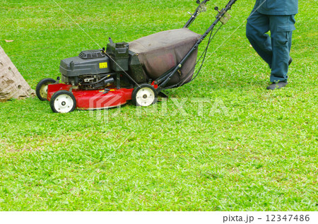 mowing the lawn mowing the lawn 12347486