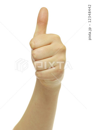 hand 12348442