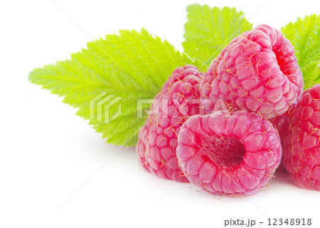 raspberry raspberry 12348918
