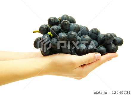 grape in hand grape in hand 12349231