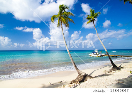 Tropical beach 12349347