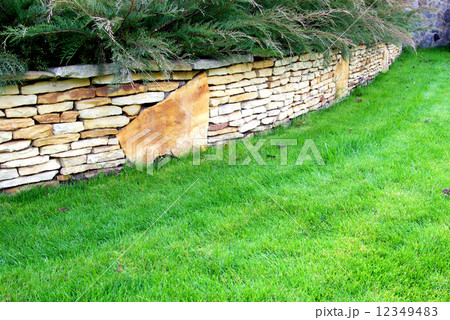 garden 12349483