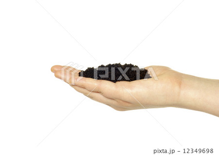 earth in hand earth in hand 12349698