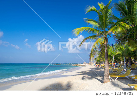tropical beach 12349705