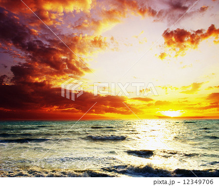 sea 12349706