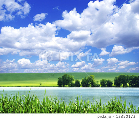 field 12350173