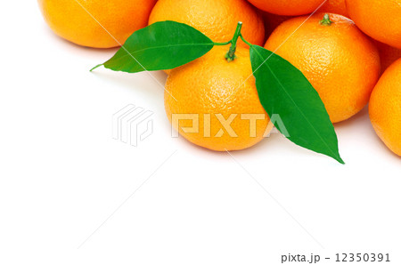 tangerine 12350391