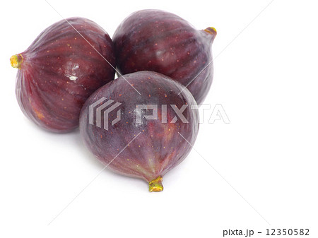 figs figs 12350582