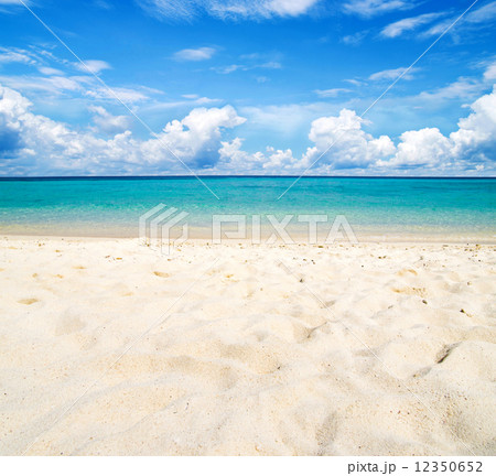 sea sea 12350652