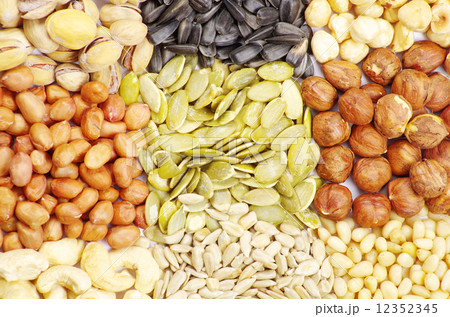 seeds and nuts seeds and nuts 12352345