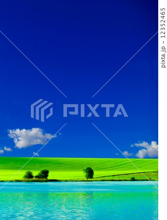 field 12352465