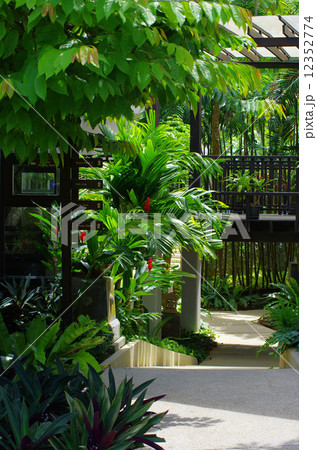 Garden Garden 12352774