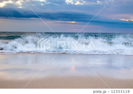 sea 12353119