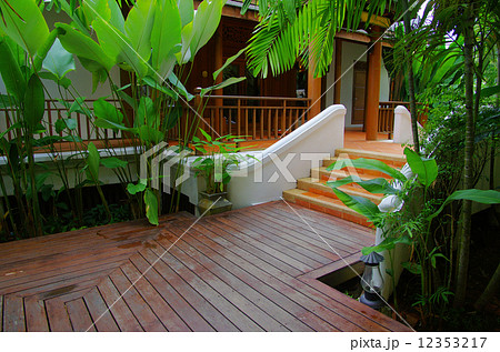 garden 12353217