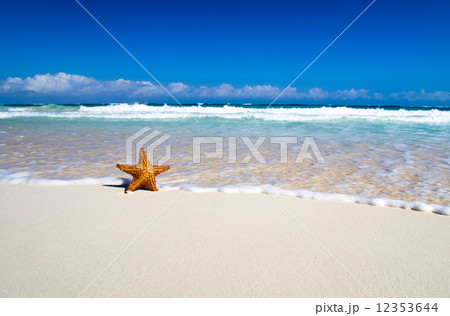 starfish with ocean 12353644