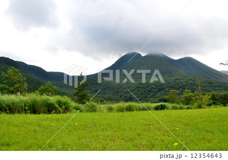 高山植物が咲くタデ原湿原と九重連山の三俣山 12354643