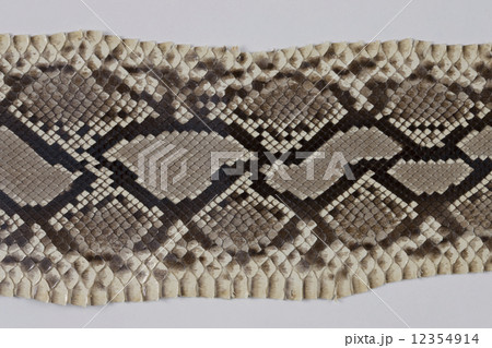 ヘビ皮 ヘビ皮 12354914