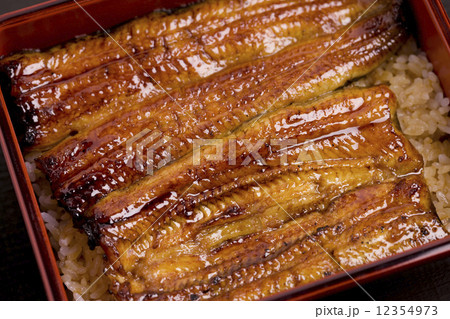 うな重 うな重 12354973