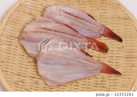 キンキの干物 12355261