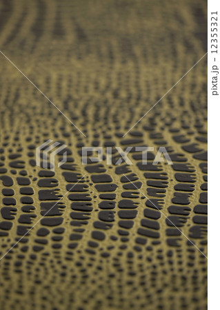 漆紙 漆紙 12355321