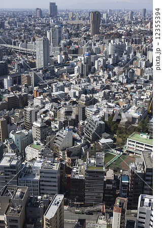 東京タワーからの眺望 東京タワーからの眺望 12355394