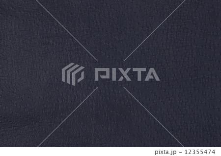 サメの皮 12355474