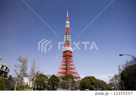 東京タワー 12355557