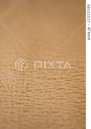 サメの皮 サメの皮 12355589