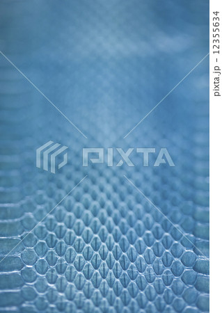 ヘビ皮 12355634