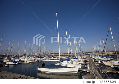 江ノ島ヨットハーバー 12355809