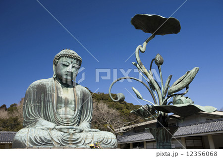 鎌倉大仏 12356068